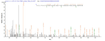 Based on the SEQUEST from database of E.coli host and target protein, the LC-MS/MS Analysis result of this product could indicate that this peptide derived from E.coli-expressed Influenza A virus (strain A/Beijing/353/1989 H3N2) NP.Recombinant Influenza A Virus Nucleoprotein (NP) Protein (His-SUMO)
