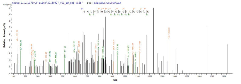 Based on the SEQUEST from database of E.coli host and target protein, the LC-MS/MS Analysis result of this product could indicate that this peptide derived from E.coli-expressed Mycoplasma pneumoniae (strain ATCC 29342 / M129) pip.