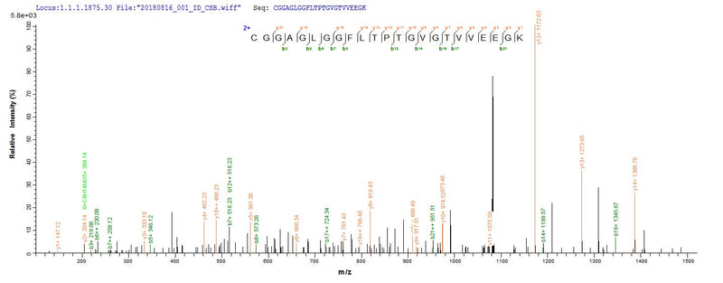 Based on the SEQUEST from database of E.coli host and target protein, the LC-MS/MS Analysis result of this product could indicate that this peptide derived from E.coli-expressed Escherichia coli (strain K12) atoD.