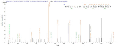 Based on the SEQUEST from database of E.coli host and target protein, the LC-MS/MS Analysis result of this product could indicate that this peptide derived from E.coli-expressed Mycoplasma pneumoniae (strain ATCC 29342 / M129) lon.