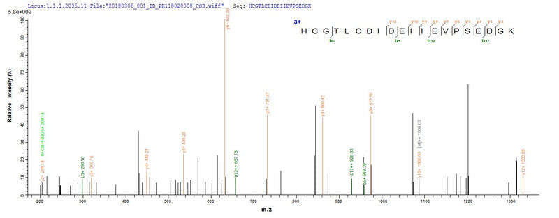 Based on the SEQUEST from database of E.coli host and target protein, the LC-MS/MS Analysis result of this product could indicate that this peptide derived from E.coli-expressed Mycoplasma pneumoniae (strain ATCC 29342 / M129) lon.