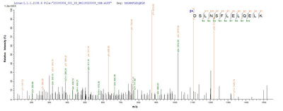 Based on the SEQUEST from database of E.coli host and target protein, the LC-MS/MS Analysis result of this product could indicate that this peptide derived from E.coli-expressed Mycoplasma pneumoniae (strain ATCC 29342 / M129) lon.