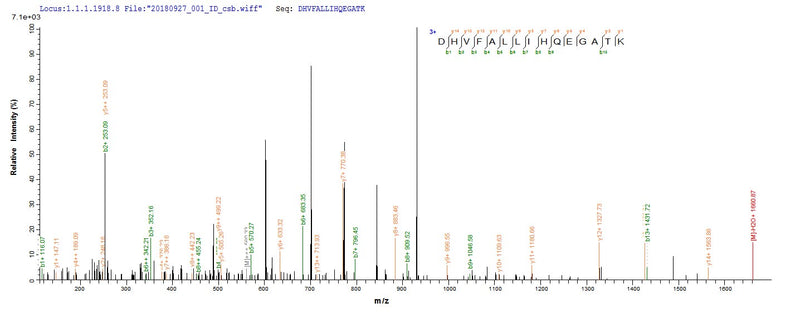 Based on the SEQUEST from database of E.coli host and target protein, the LC-MS/MS Analysis result of this product could indicate that this peptide derived from E.coli-expressed Lentinula edodes (Shiitake mushroom) (Lentinus edodes) N/A.Recombinant Lentinula Edodes Serine Protease Inhibitor Protein (His)