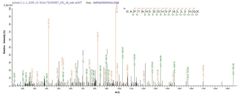 Based on the SEQUEST from database of E.coli host and target protein, the LC-MS/MS Analysis result of this product could indicate that this peptide derived from E.coli-expressed Lentinula edodes (Shiitake mushroom) (Lentinus edodes) N/A.Recombinant Lentinula Edodes Serine Protease Inhibitor Protein (His)