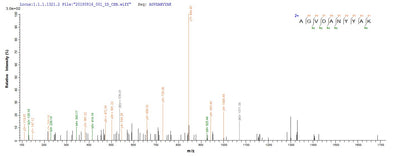 Based on the SEQUEST from database of E.coli host and target protein, the LC-MS/MS Analysis result of this product could indicate that this peptide derived from E.coli-expressed Staphylococcus aureus aur.Recombinant Staphylococcus Aureus Zinc Metalloproteinase Aureolysin (AUR) Protein (His&Myc)