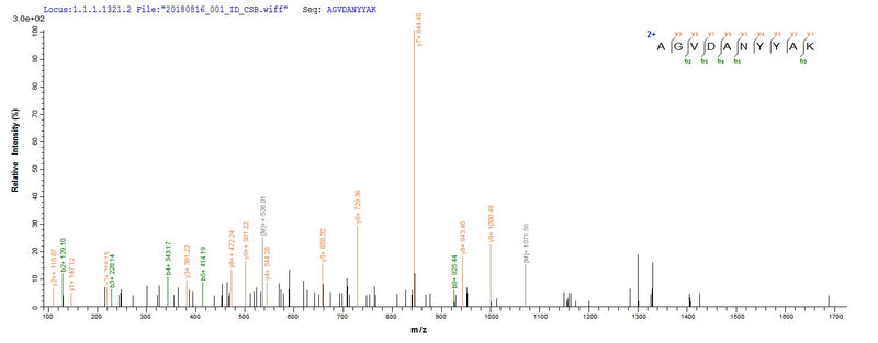 Based on the SEQUEST from database of E.coli host and target protein, the LC-MS/MS Analysis result of this product could indicate that this peptide derived from E.coli-expressed Staphylococcus aureus aur.Recombinant Staphylococcus Aureus Zinc Metalloproteinase Aureolysin (AUR) Protein (His&Myc)