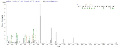 Based on the SEQUEST from database of E.coli host and target protein, the LC-MS/MS Analysis result of this product could indicate that this peptide derived from E.coli-expressed Staphylococcus aureus aur.Recombinant Staphylococcus Aureus Zinc Metalloproteinase Aureolysin (AUR) Protein (His&Myc)