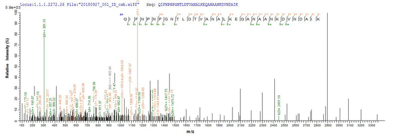 Based on the SEQUEST from database of E.coli host and target protein, the LC-MS/MS Analysis result of this product could indicate that this peptide derived from E.coli-expressed Pseudomonas aeruginosa (strain ATCC 15692 / DSM 22644 / CIP 104116 / JCM 14847 / LMG 12228 / 1C / PRS 101 / PAO1) pscF.Recombinant Pseudomonas Aeruginosa Type Iii Needle Protein Pscf (PSCF) Protein (His&Myc)