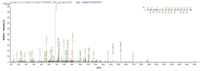 Based on the SEQUEST from database of E.coli host and target protein, the LC-MS/MS Analysis result of this product could indicate that this peptide derived from E.coli-expressed Pseudomonas aeruginosa (strain ATCC 15692 / DSM 22644 / CIP 104116 / JCM 14847 / LMG 12228 / 1C / PRS 101 / PAO1) pscF.Recombinant Pseudomonas Aeruginosa Type Iii Needle Protein Pscf (PSCF) Protein (His&Myc)