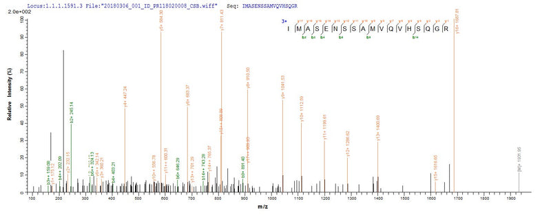 Based on the SEQUEST from database of E.coli host and target protein, the LC-MS/MS Analysis result of this product could indicate that this peptide derived from E.coli-expressed Zaire ebolavirus (strain Kikwit-95) (ZEBOV) (Zaire Ebola virus) GP.