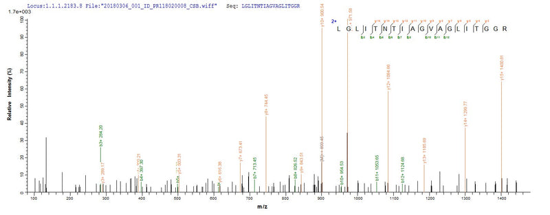 Based on the SEQUEST from database of E.coli host and target protein, the LC-MS/MS Analysis result of this product could indicate that this peptide derived from E.coli-expressed Zaire ebolavirus (strain Kikwit-95) (ZEBOV) (Zaire Ebola virus) GP.