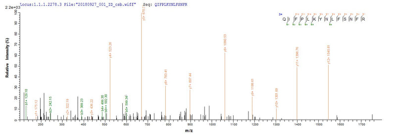 Based on the SEQUEST from database of E.coli host and target protein, the LC-MS/MS Analysis result of this product could indicate that this peptide derived from E.coli-expressed Rattus norvegicus (Rat) Mcpt4.Recombinant Rat Mast Cell Protease 4 (MCPT4) Protein (His&Myc)