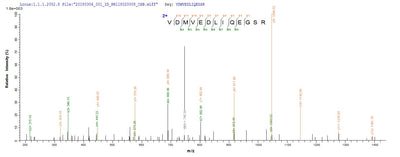 Based on the SEQUEST from database of E.coli host and target protein, the LC-MS/MS Analysis result of this product could indicate that this peptide derived from E.coli-expressed Streptococcus pneumoniae serotype 2 (strain D39 / NCTC 7466) ply.Recombinant Streptococcus Pneumoniae Serotype 2 Pneumolysin (PLY) Protein (His-SUMO&Myc)