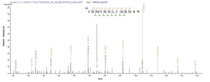 Based on the SEQUEST from database of E.coli host and target protein, the LC-MS/MS Analysis result of this product could indicate that this peptide derived from E.coli-expressed Streptococcus pneumoniae serotype 2 (strain D39 / NCTC 7466) ply.Recombinant Streptococcus Pneumoniae Serotype 2 Pneumolysin (PLY) Protein (His-SUMO&Myc)