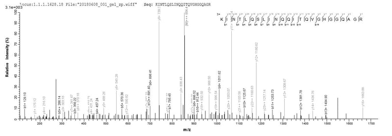 Based on the SEQUEST from database of E.coli host and target protein, the LC-MS/MS Analysis result of this product could indicate that this peptide derived from E.coli-expressed Yersinia enterocolitica yscM.Recombinant Yersinia Enterocolitica Yop Proteins Translocation Protein M (YSCM) Protein (His-SUMO)