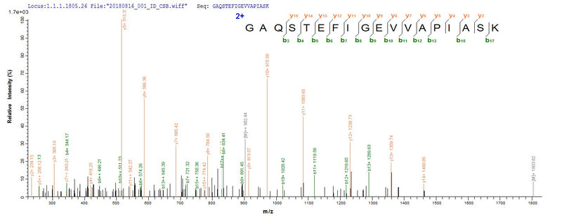Based on the SEQUEST from database of E.coli host and target protein, the LC-MS/MS Analysis result of this product could indicate that this peptide derived from E.coli-expressed Phanerochaete chrysosporium (White-rot fungus) (Sporotrichum pruinosum) CDH-1.