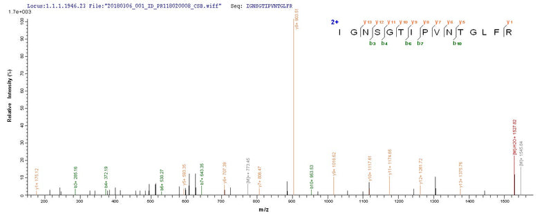 Based on the SEQUEST from database of E.coli host and target protein, the LC-MS/MS Analysis result of this product could indicate that this peptide derived from E.coli-expressed Pseudomonas aeruginosa (strain ATCC 15692 / DSM 22644 / CIP 104116 / JCM 14847 / LMG 12228 / 1C / PRS 101 / PAO1) lecA.Recombinant Pseudomonas Aeruginosa Pa-I Galactophilic Lectin (LECA) Protein (His)