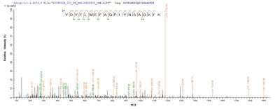 Based on the SEQUEST from database of E.coli host and target protein, the LC-MS/MS Analysis result of this product could indicate that this peptide derived from E.coli-expressed Staphylococcus aureus (strain USA300 / TCH1516) isdB.Recombinant Staphylococcus Aureus Iron-Regulated Surface Determinant Protein B (ISDB) Protein (His-SUMO)