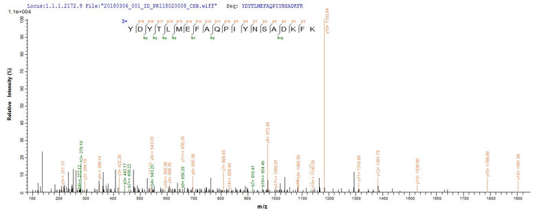 Based on the SEQUEST from database of E.coli host and target protein, the LC-MS/MS Analysis result of this product could indicate that this peptide derived from E.coli-expressed Staphylococcus aureus (strain USA300 / TCH1516) isdB.Recombinant Staphylococcus Aureus Iron-Regulated Surface Determinant Protein B (ISDB) Protein (His-SUMO)