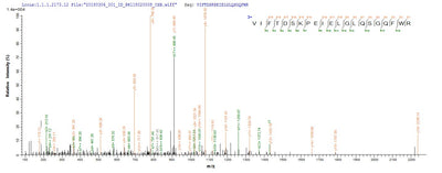 Based on the SEQUEST from database of E.coli host and target protein, the LC-MS/MS Analysis result of this product could indicate that this peptide derived from E.coli-expressed Staphylococcus aureus (strain USA300 / TCH1516) isdB.Recombinant Staphylococcus Aureus Iron-Regulated Surface Determinant Protein B (ISDB) Protein (His-SUMO)