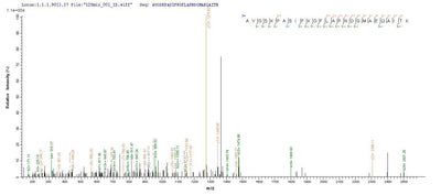 Based on the SEQUEST from database of E.coli host and target protein, the LC-MS/MS Analysis result of this product could indicate that this peptide derived from E.coli-expressed Mycoplasma hyopneumoniae (strain 232) p46.