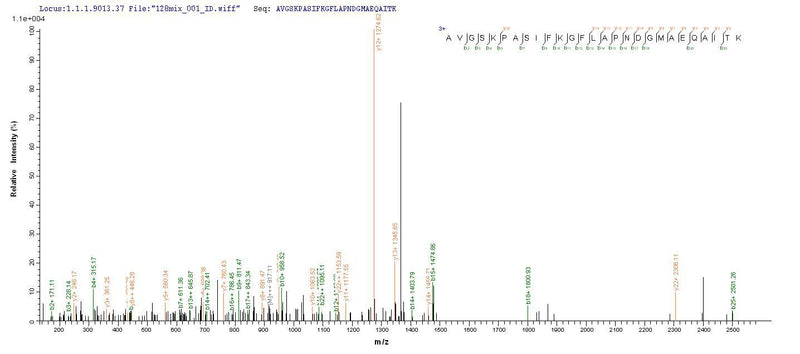 Based on the SEQUEST from database of E.coli host and target protein, the LC-MS/MS Analysis result of this product could indicate that this peptide derived from E.coli-expressed Mycoplasma hyopneumoniae (strain 232) p46.