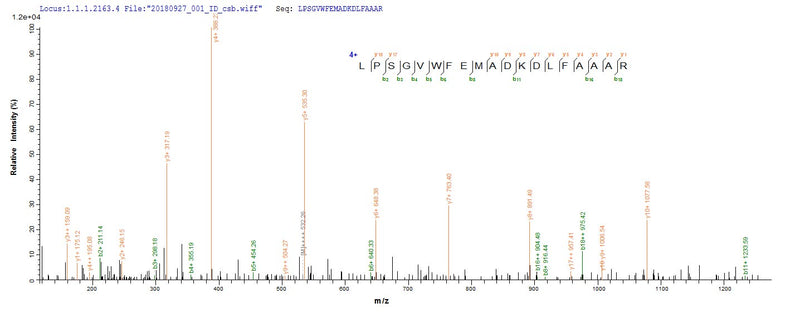 Based on the SEQUEST from database of E.coli host and target protein, the LC-MS/MS Analysis result of this product could indicate that this peptide derived from E.coli-expressed Escherichia coli traY.Recombinant Vesicular Stomatitis Indiana Virus Glycoprotein G (G) Protein (His&Myc)