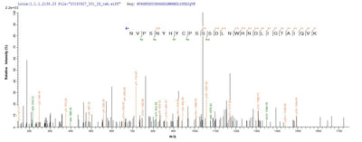 Based on the SEQUEST from database of E.coli host and target protein, the LC-MS/MS Analysis result of this product could indicate that this peptide derived from E.coli-expressed Escherichia coli traY.Recombinant Vesicular Stomatitis Indiana Virus Glycoprotein G (G) Protein (His&Myc)