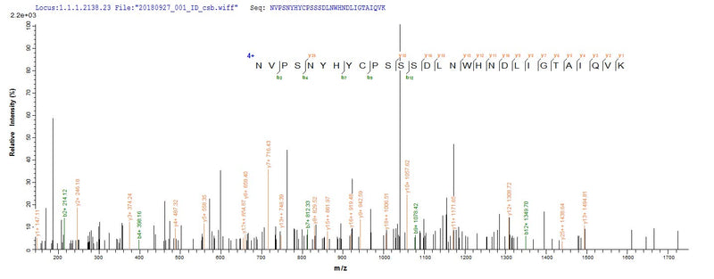 Based on the SEQUEST from database of E.coli host and target protein, the LC-MS/MS Analysis result of this product could indicate that this peptide derived from E.coli-expressed Escherichia coli traY.Recombinant Vesicular Stomatitis Indiana Virus Glycoprotein G (G) Protein (His&Myc)