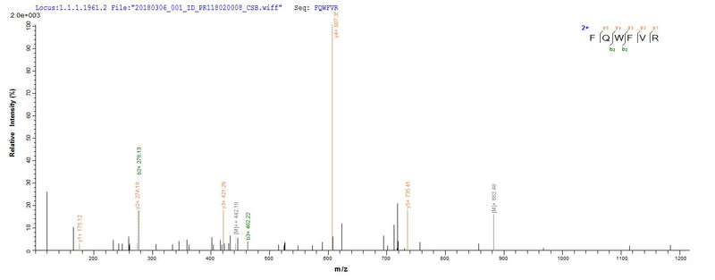 Based on the SEQUEST from database of E.coli host and target protein, the LC-MS/MS Analysis result of this product could indicate that this peptide derived from E.coli-expressed Mycobacterium smegmatis dps.Recombinant Mycobacterium Smegmatis Dna Protection During Starvation Protein (DPS) Protein (His-SUMO)