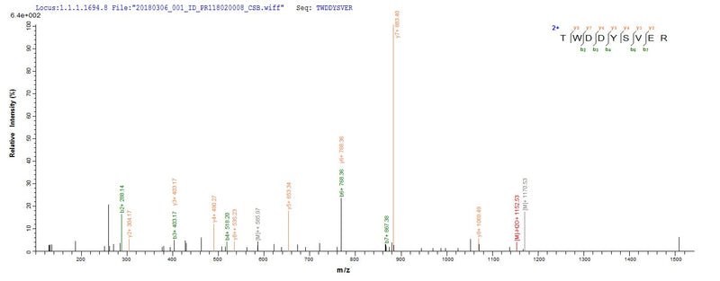 Based on the SEQUEST from database of E.coli host and target protein, the LC-MS/MS Analysis result of this product could indicate that this peptide derived from E.coli-expressed Mycobacterium smegmatis dps.Recombinant Mycobacterium Smegmatis Dna Protection During Starvation Protein (DPS) Protein (His-SUMO)