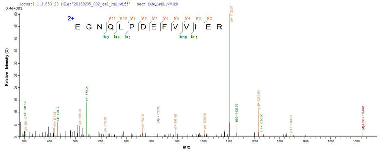 Based on the SEQUEST from database of E.coli host and target protein, the LC-MS/MS Analysis result of this product could indicate that this peptide derived from E.coli-expressed Streptococcus pneumoniae serotype 4 (strain ATCC BAA-334 / TIGR4) ply.Recombinant Streptococcus Pneumoniae Serotype 4 Pneumolysin (PLY) Protein (His-SUMO)