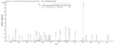 Based on the SEQUEST from database of E.coli host and target protein, the LC-MS/MS Analysis result of this product could indicate that this peptide derived from E.coli-expressed Streptococcus pneumoniae serotype 4 (strain ATCC BAA-334 / TIGR4) ply.Recombinant Streptococcus Pneumoniae Serotype 4 Pneumolysin (PLY) Protein (His-SUMO)