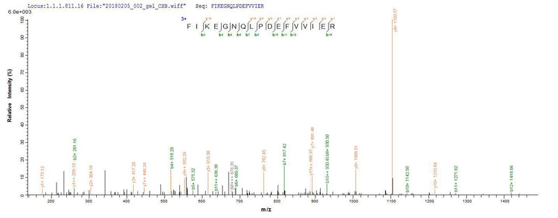 Based on the SEQUEST from database of E.coli host and target protein, the LC-MS/MS Analysis result of this product could indicate that this peptide derived from E.coli-expressed Streptococcus pneumoniae serotype 4 (strain ATCC BAA-334 / TIGR4) ply.Recombinant Streptococcus Pneumoniae Serotype 4 Pneumolysin (PLY) Protein (His-SUMO)