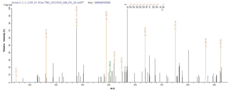 Based on the SEQUEST from database of E.coli host and target protein, the LC-MS/MS Analysis result of this product could indicate that this peptide derived from E.coli-expressed Mannheimia haemolytica (Pasteurella haemolytica) lktA.Recombinant Pasteurella Haemolytica Leukotoxin (LKTA) Protein (GST)