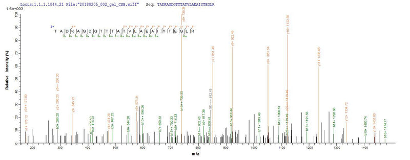 Based on the SEQUEST from database of E.coli host and target protein, the LC-MS/MS Analysis result of this product could indicate that this peptide derived from E.coli-expressed Chlamydia trachomatis (strain D/UW-3/Cx) groL.Recombinant Chlamydia Trachomatis Chaperonin Groel (GROL) Protein (His-SUMO)