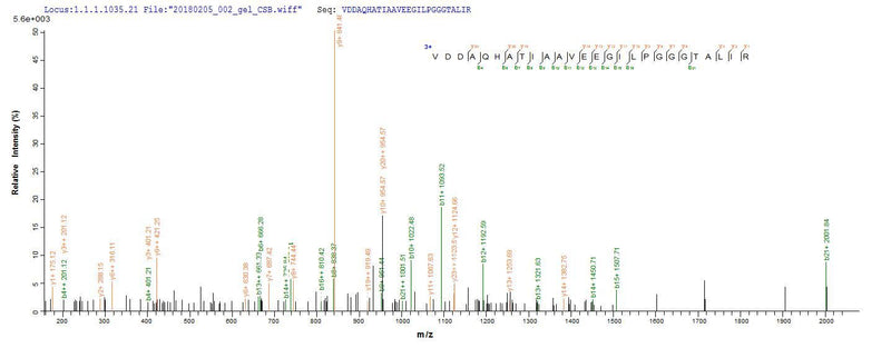 Based on the SEQUEST from database of E.coli host and target protein, the LC-MS/MS Analysis result of this product could indicate that this peptide derived from E.coli-expressed Chlamydia trachomatis (strain D/UW-3/Cx) groL.Recombinant Chlamydia Trachomatis Chaperonin Groel (GROL) Protein (His-SUMO)