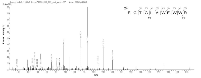 Based on the SEQUEST from database of E.coli host and target protein, the LC-MS/MS Analysis result of this product could indicate that this peptide derived from E.coli-expressed Clostridium perfringens (strain 13 / Type A) pfo.Recombinant Clostridium Perfringens Perfringolysin O (PFO) Protein (His-SUMO)