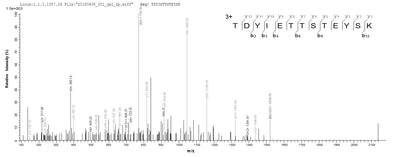 Based on the SEQUEST from database of E.coli host and target protein, the LC-MS/MS Analysis result of this product could indicate that this peptide derived from E.coli-expressed Clostridium perfringens (strain 13 / Type A) pfo.Recombinant Clostridium Perfringens Perfringolysin O (PFO) Protein (His-SUMO)