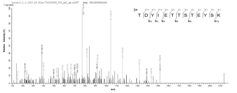 Based on the SEQUEST from database of E.coli host and target protein, the LC-MS/MS Analysis result of this product could indicate that this peptide derived from E.coli-expressed Clostridium perfringens (strain 13 / Type A) pfo.Recombinant Clostridium Perfringens Perfringolysin O (PFO) Protein (His-SUMO)