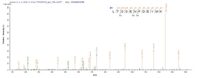 Based on the SEQUEST from database of E.coli host and target protein, the LC-MS/MS Analysis result of this product could indicate that this peptide derived from E.coli-expressed Equus caballus (Horse) PMP2.Recombinant Horse Myelin P2 Protein (PMP2) Protein (His-SUMO)
