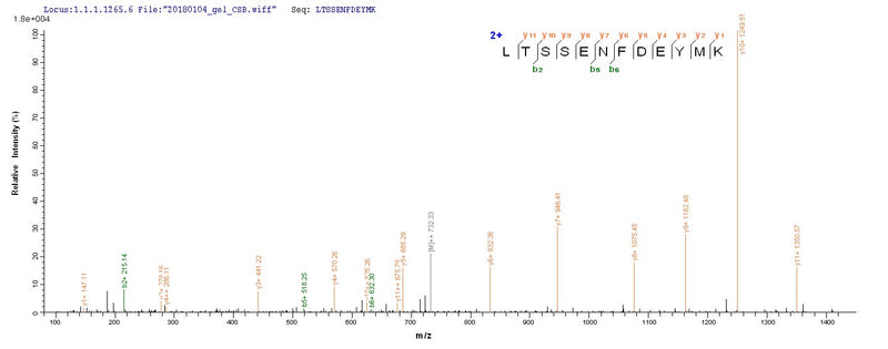 Based on the SEQUEST from database of E.coli host and target protein, the LC-MS/MS Analysis result of this product could indicate that this peptide derived from E.coli-expressed Equus caballus (Horse) PMP2.Recombinant Horse Myelin P2 Protein (PMP2) Protein (His-SUMO)