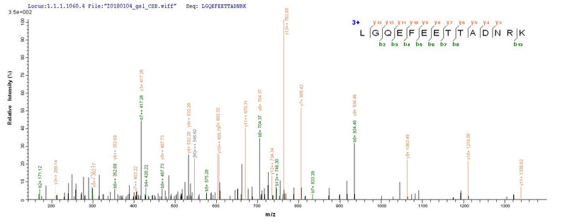 Based on the SEQUEST from database of E.coli host and target protein, the LC-MS/MS Analysis result of this product could indicate that this peptide derived from E.coli-expressed Equus caballus (Horse) PMP2.Recombinant Horse Myelin P2 Protein (PMP2) Protein (His-SUMO)