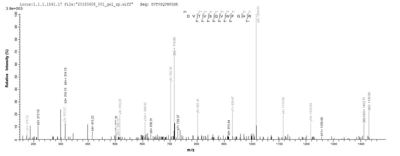 Based on the SEQUEST from database of E.coli host and target protein, the LC-MS/MS Analysis result of this product could indicate that this peptide derived from E.coli-expressed Human herpesvirus 1 (strain 17) (HHV-1) (Human herpes simplex virus 1) gB.