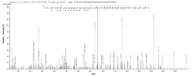 Based on the SEQUEST from database of E.coli host and target protein, the LC-MS/MS Analysis result of this product could indicate that this peptide derived from E.coli-expressed Human herpesvirus 1 (strain 17) (HHV-1) (Human herpes simplex virus 1) gB.