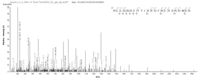 Based on the SEQUEST from database of E.coli host and target protein, the LC-MS/MS Analysis result of this product could indicate that this peptide derived from E.coli-expressed Clostridium botulinum botB.Recombinant Clostridium Botulinum Botulinum Neurotoxin Type B (BOTB) Protein (His-B2M)