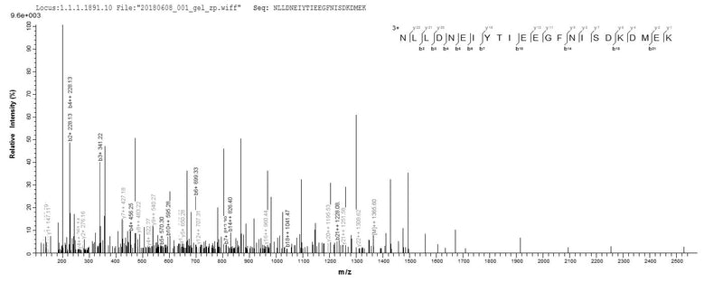Based on the SEQUEST from database of E.coli host and target protein, the LC-MS/MS Analysis result of this product could indicate that this peptide derived from E.coli-expressed Clostridium botulinum botB.Recombinant Clostridium Botulinum Botulinum Neurotoxin Type B (BOTB) Protein (His-B2M)