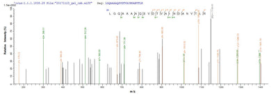 Based on the SEQUEST from database of E.coli host and target protein, the LC-MS/MS Analysis result of this product could indicate that this peptide derived from E.coli-expressed Escherichia coli F17a-A.Recombinant E.Coli F17 Fimbrial Protein (F17A-A) Protein (His-SUMO)