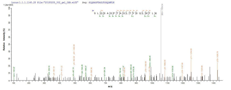 Based on the SEQUEST from database of E.coli host and target protein, the LC-MS/MS Analysis result of this product could indicate that this peptide derived from E.coli-expressed Lassa virus (strain Mouse/Sierra Leone/Josiah/1976) (LASV) N.Recombinant Lassa Virus Nucleoprotein (N)