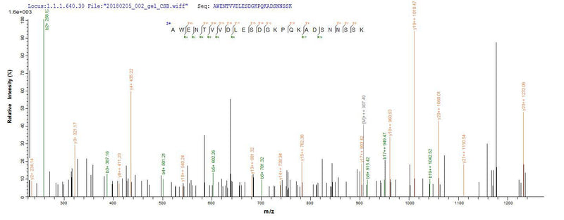 Based on the SEQUEST from database of E.coli host and target protein, the LC-MS/MS Analysis result of this product could indicate that this peptide derived from E.coli-expressed Lassa virus (strain Mouse/Sierra Leone/Josiah/1976) (LASV) N.Recombinant Lassa Virus Nucleoprotein (N)